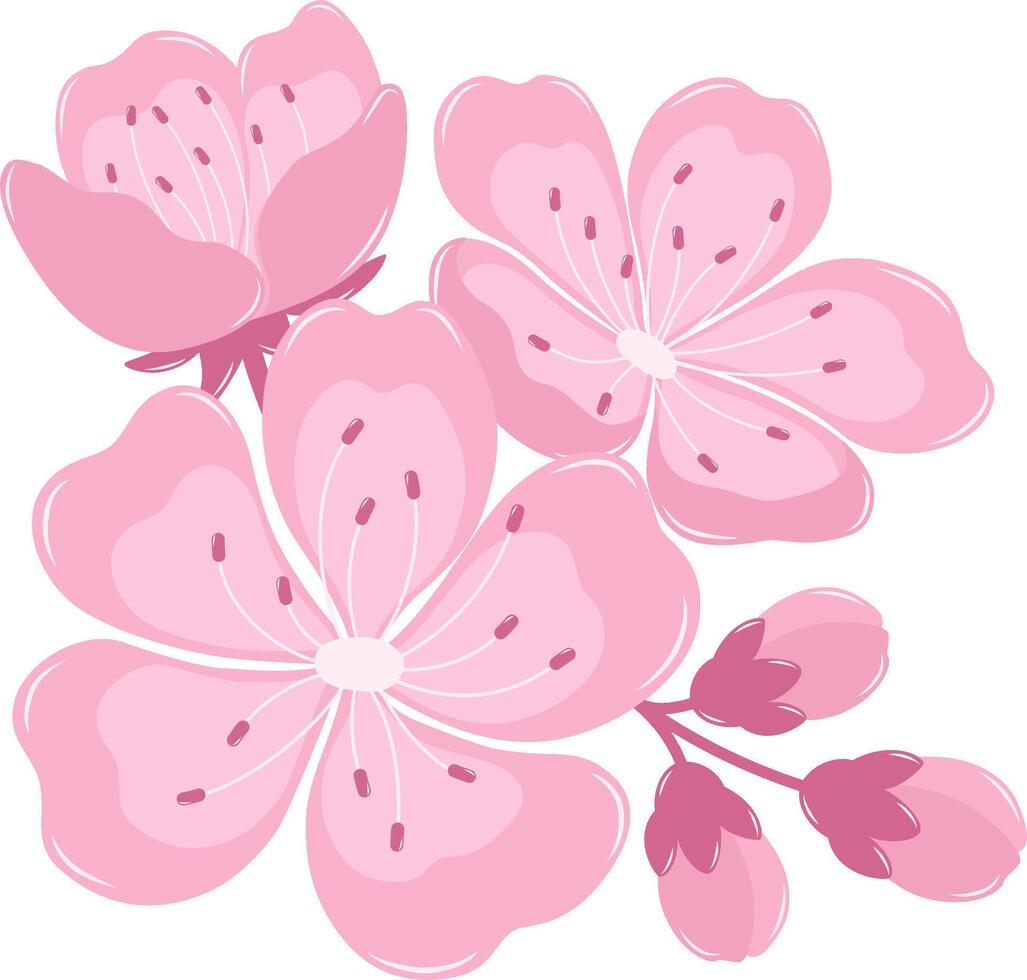 A Bunch of Cherry Blossom Flowers With Buds. Flat and Simple Pink Sakura. vector