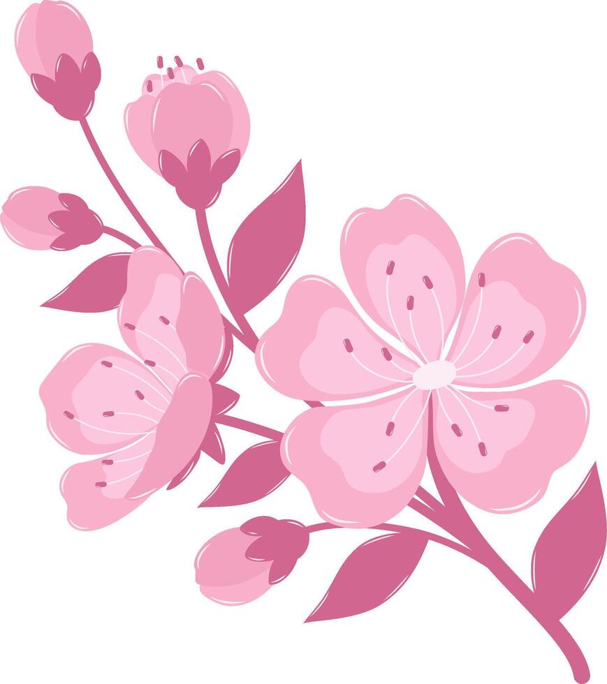 A Blooming Cherry Blossom Flower Branch. Flat and Simple Pink Sakura. vector