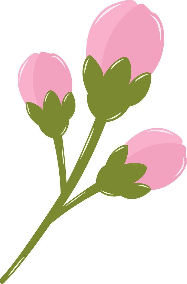 Cherry Blossom Flower Buds. Flat and Simple Pink Sakura. vector