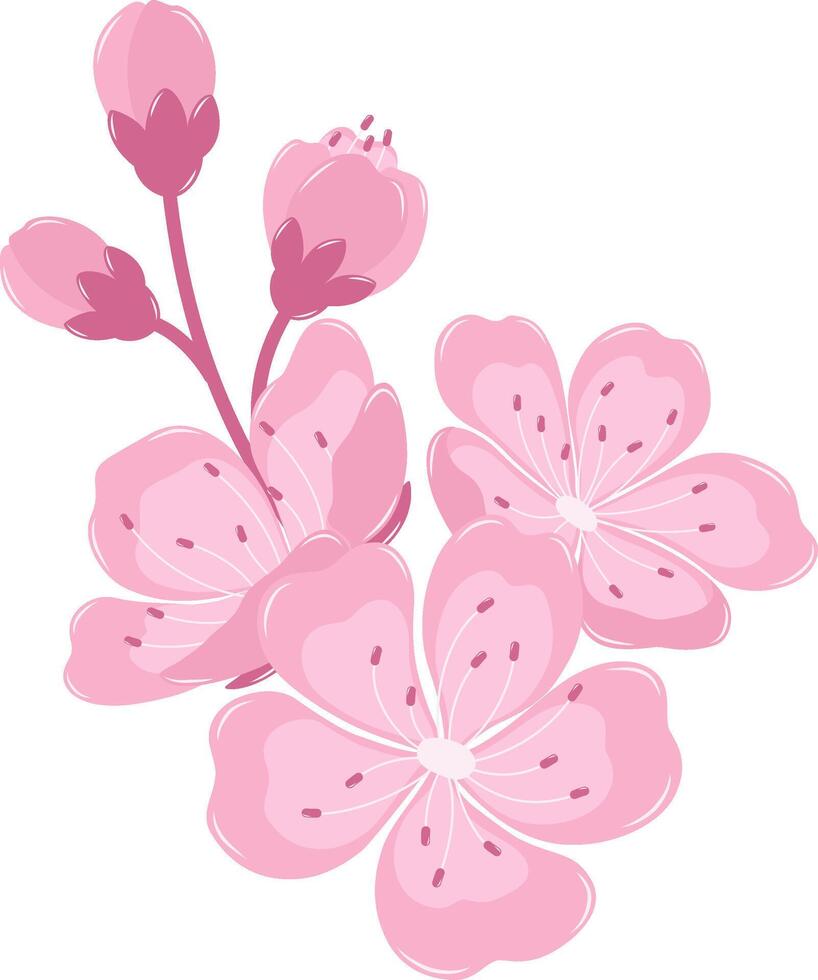 Cherry Blossom Flower With Buds Branch. Flat and Simple Pink Sakura. vector
