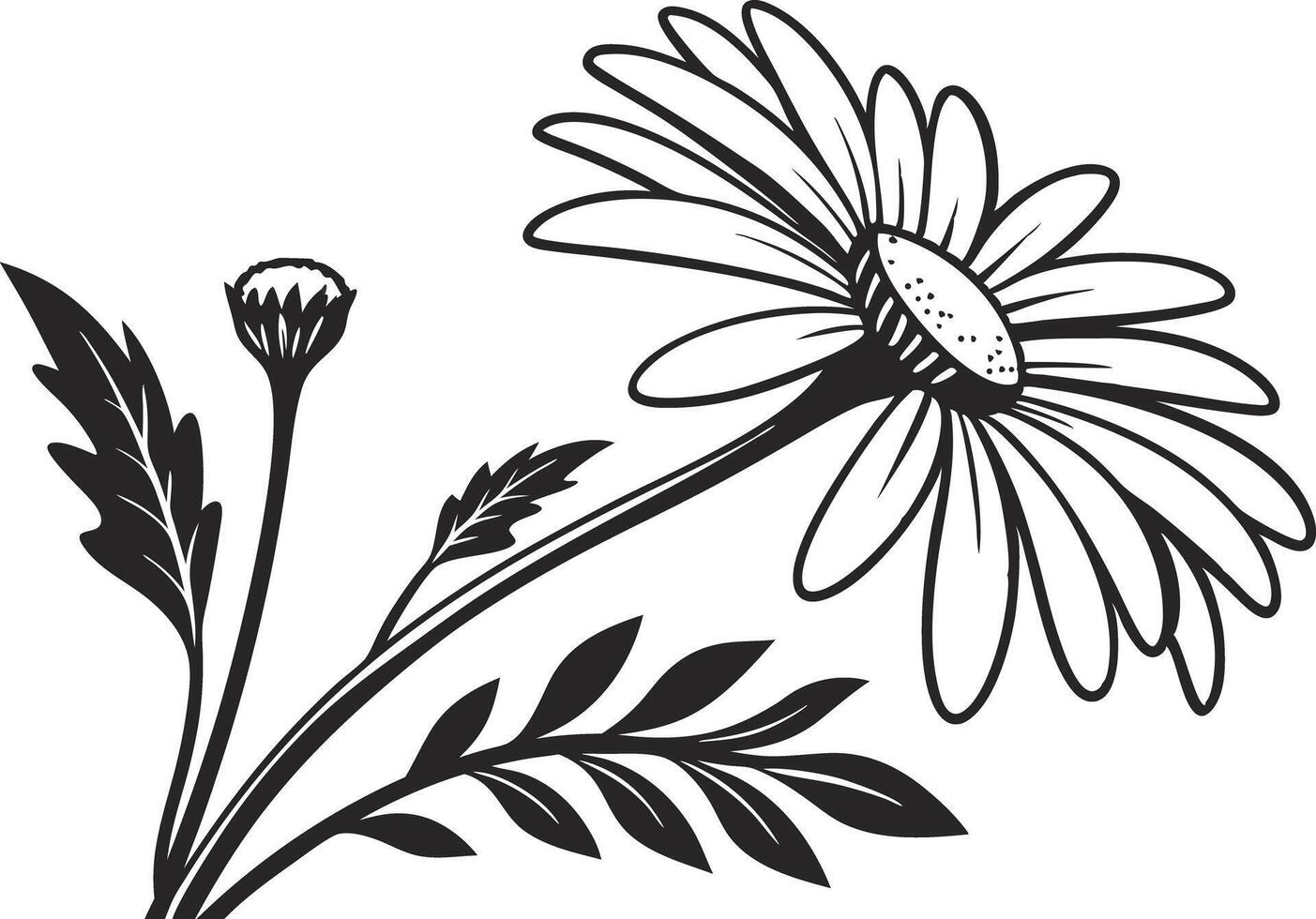Daisy Flower Illustration Design vector