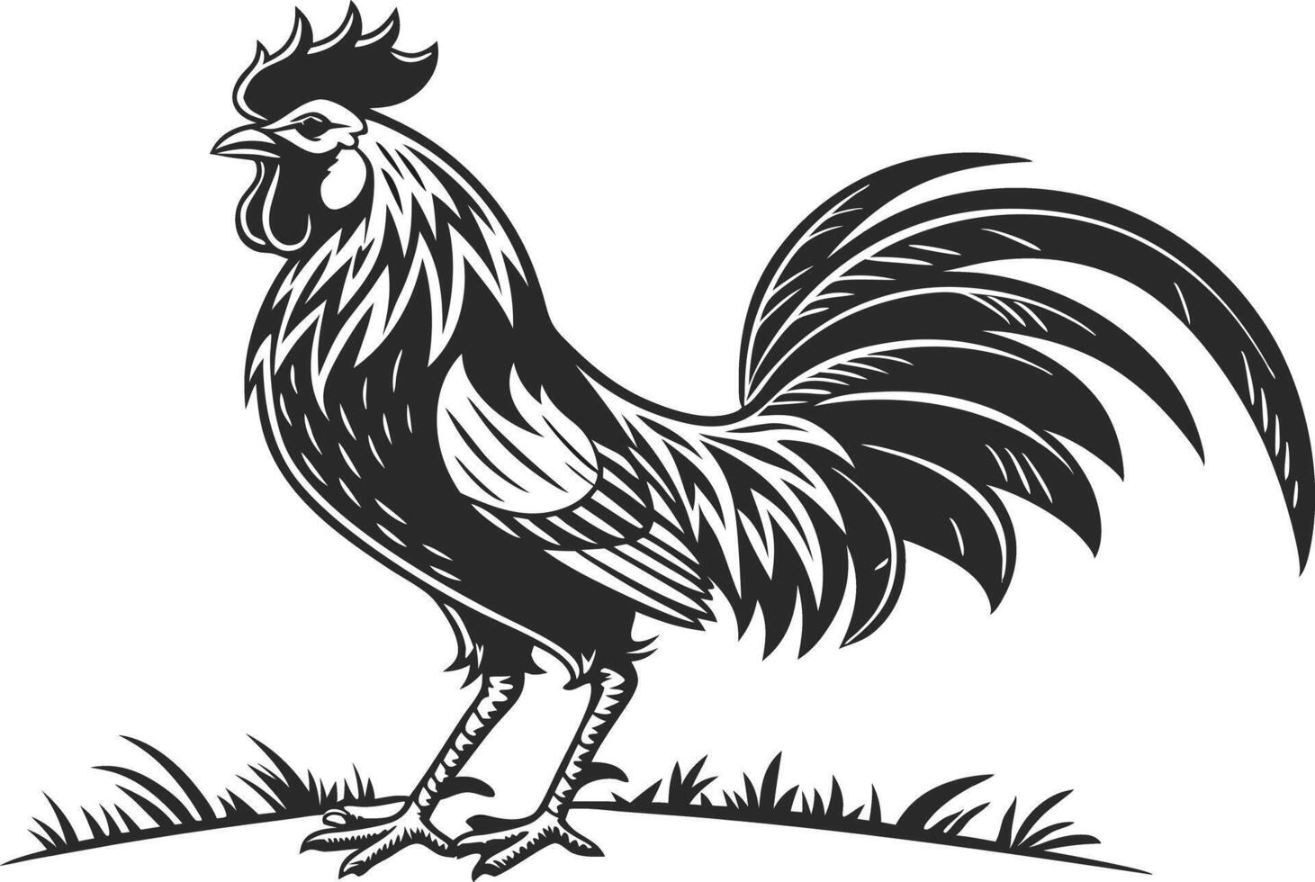Rooster Design Illustration for T Shirt Graphics vector