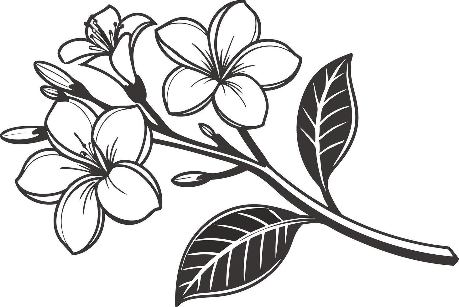 Gardenia Flower Set Design for Digital Crafts vector