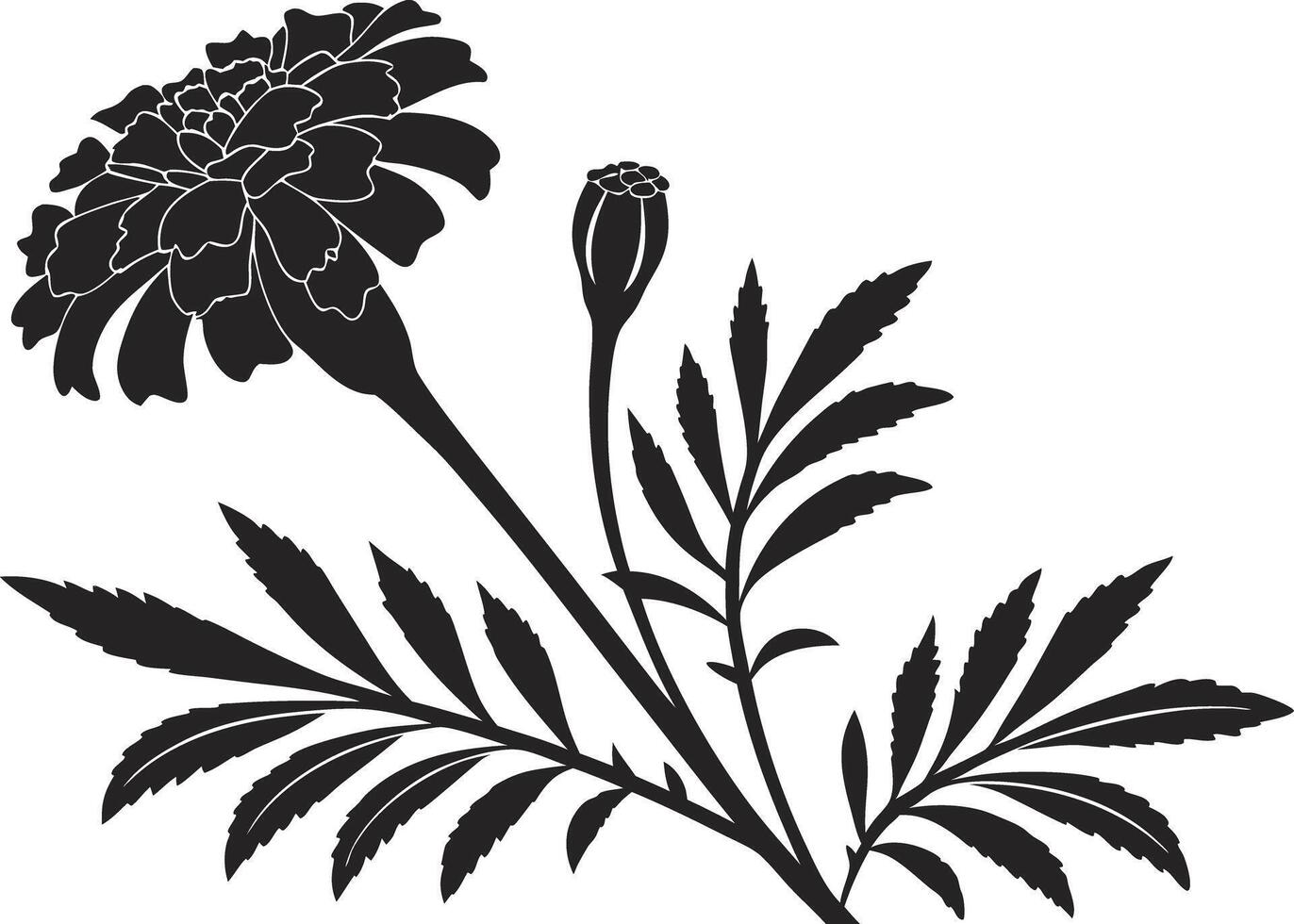 Marigold Flower Art for Print vector
