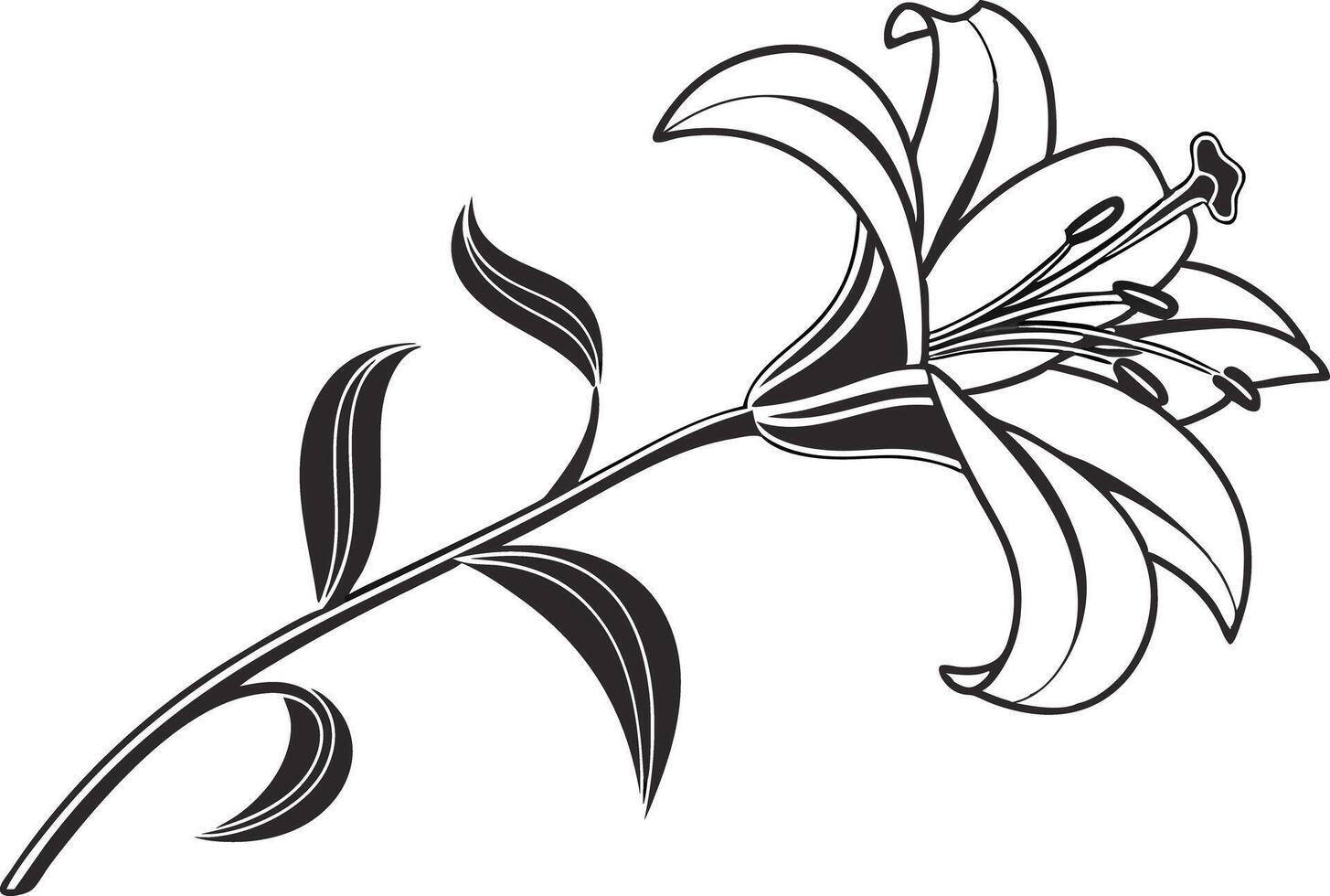 Elegant Lily Bloom Line Art vector