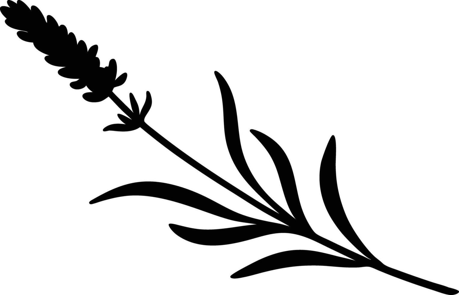 Hand Drawn Lavender Botanical Art vector
