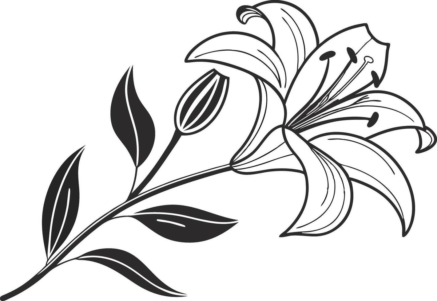Lily Flower Illustration Design vector