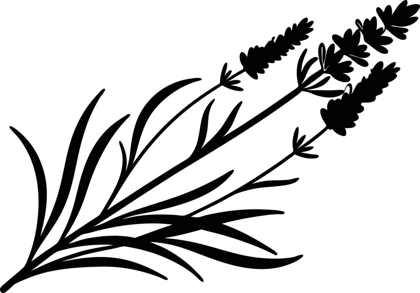 Lavender Flower Illustration Design vector