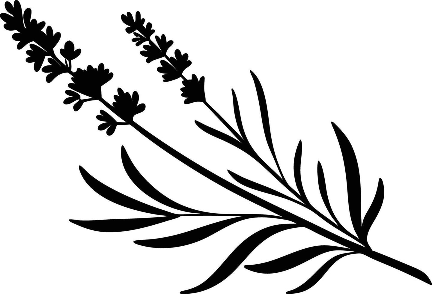 Elegant Lavender Plant Silhouette vector