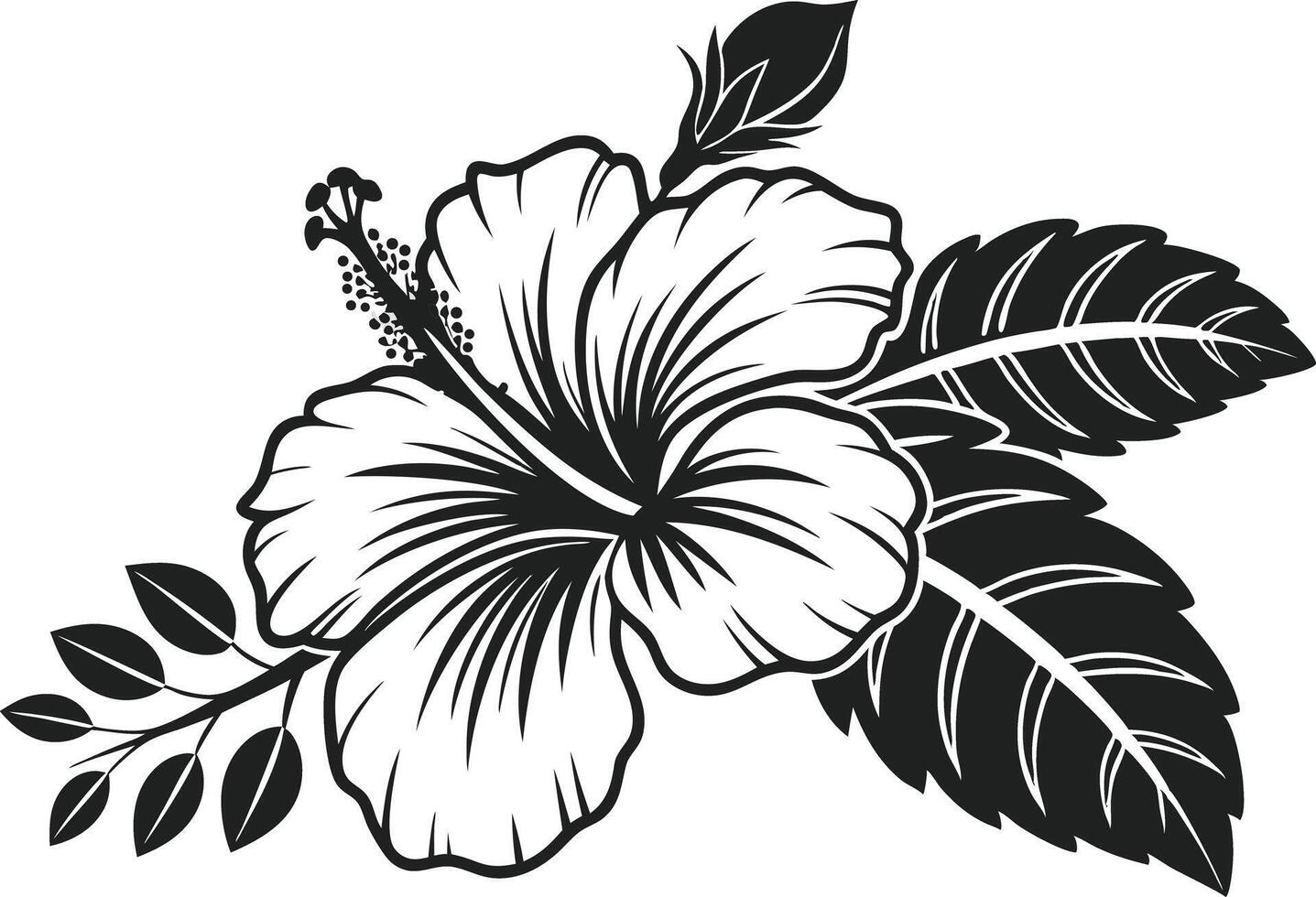 Tropical Hibiscus Flower Outline vector
