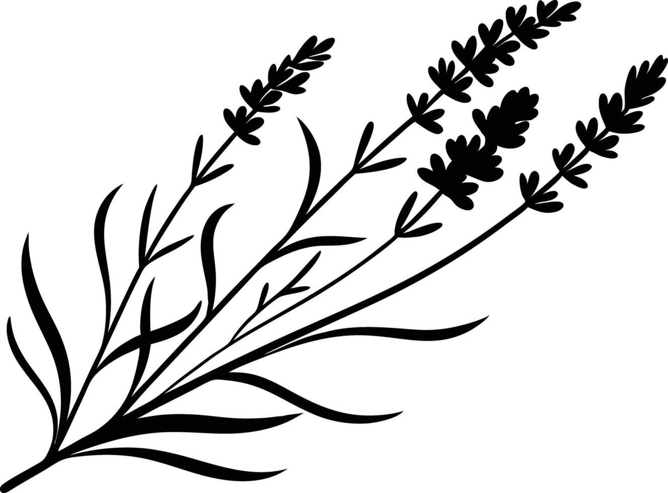 Lavender Bloom Graphic Design vector