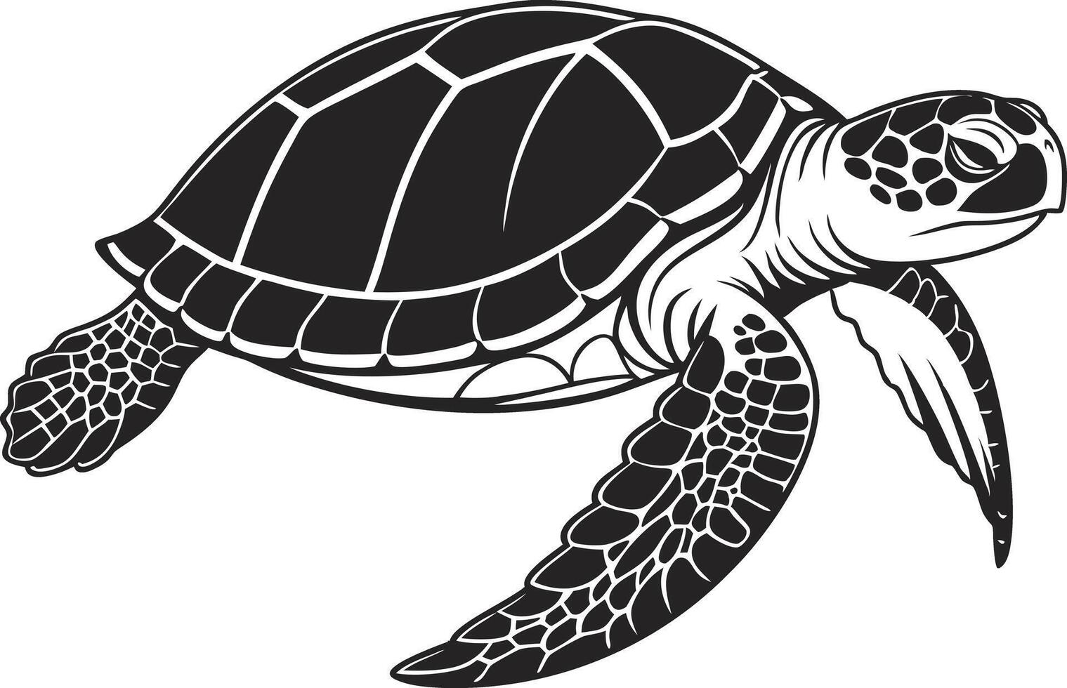 Artistic Turtle Crawl Design Illustration for Prints vector