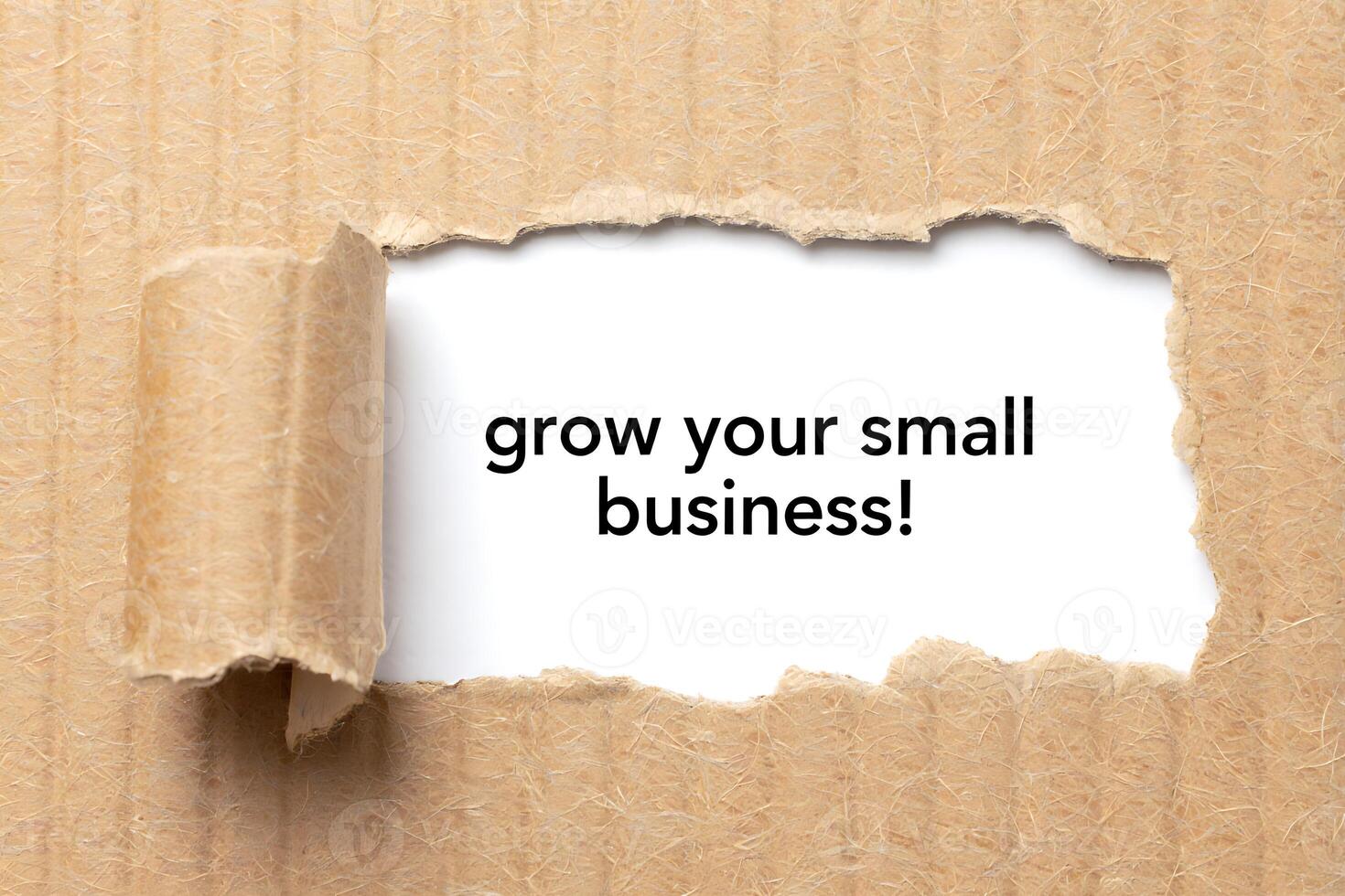 Conceptual image showing the message grow your small business written on white background behind ripped corrugated cardboard. photo