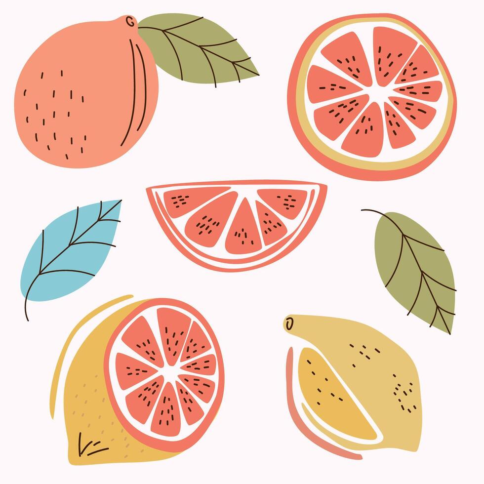 Colorful illustrations of citrus fruits including oranges, lemons, and grapefruit with green leaves. vector