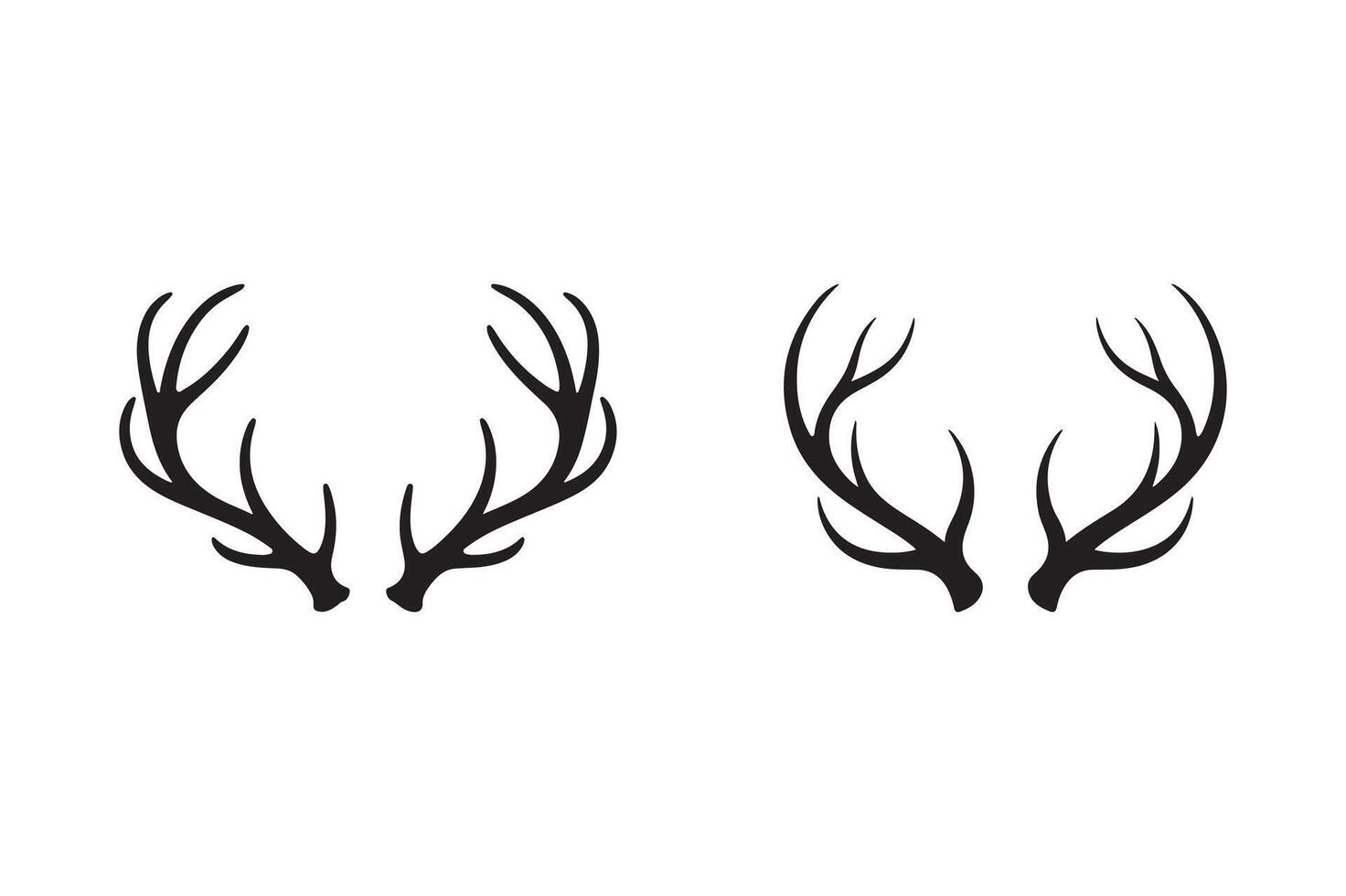 Two deer antlers are shown on a white background vector