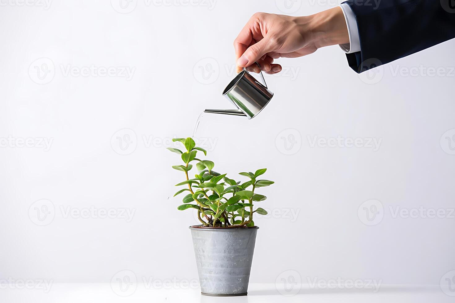 A person in a business suit carefully watering a small potted plant with a miniature silver watering can on a clean white background. photo