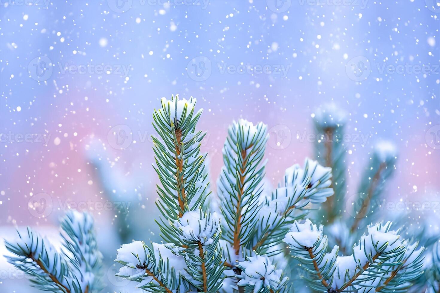 Close up view of frosted evergreen branches with falling snow and a soft pink and blue gradient background photo