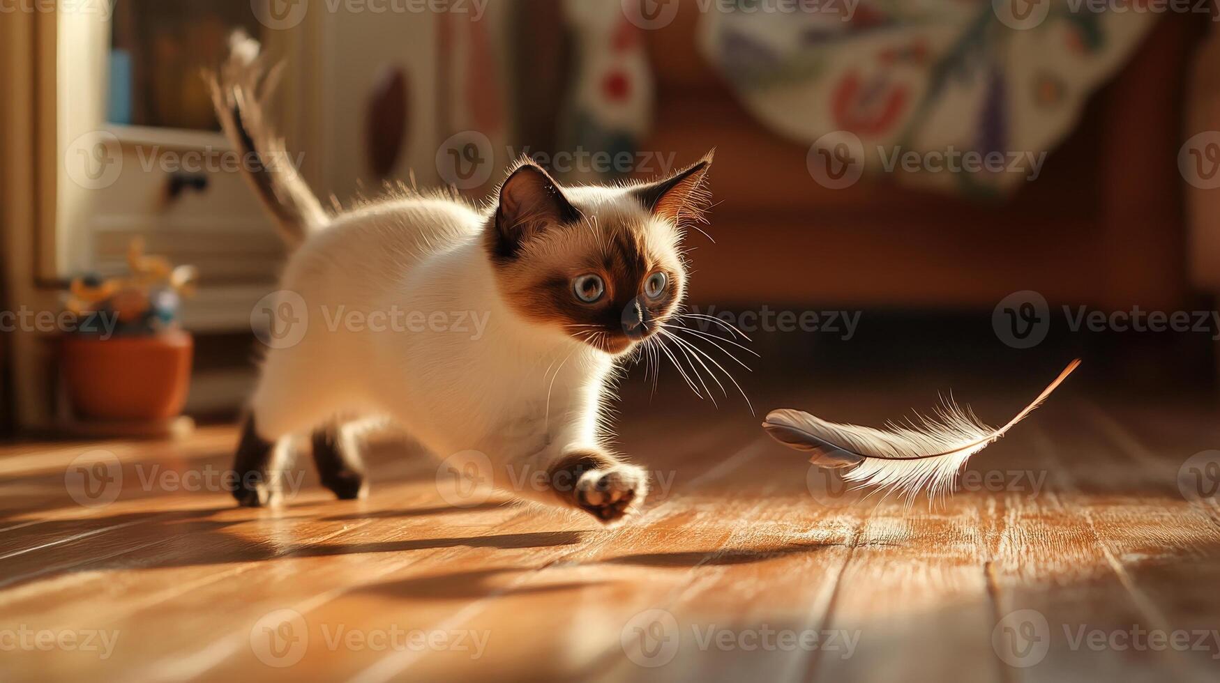 Playful kitten chasing a feather on a wooden floor. photo