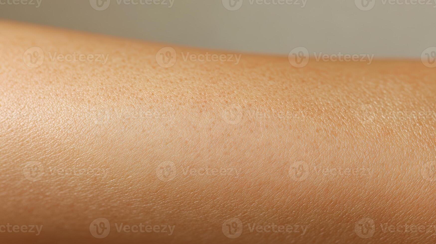 Closeup view of a smooth, light tan human arm. photo
