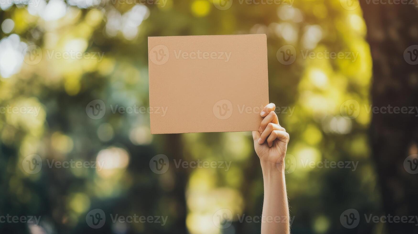 Empty cardboard sign held aloft in a park setting. photo