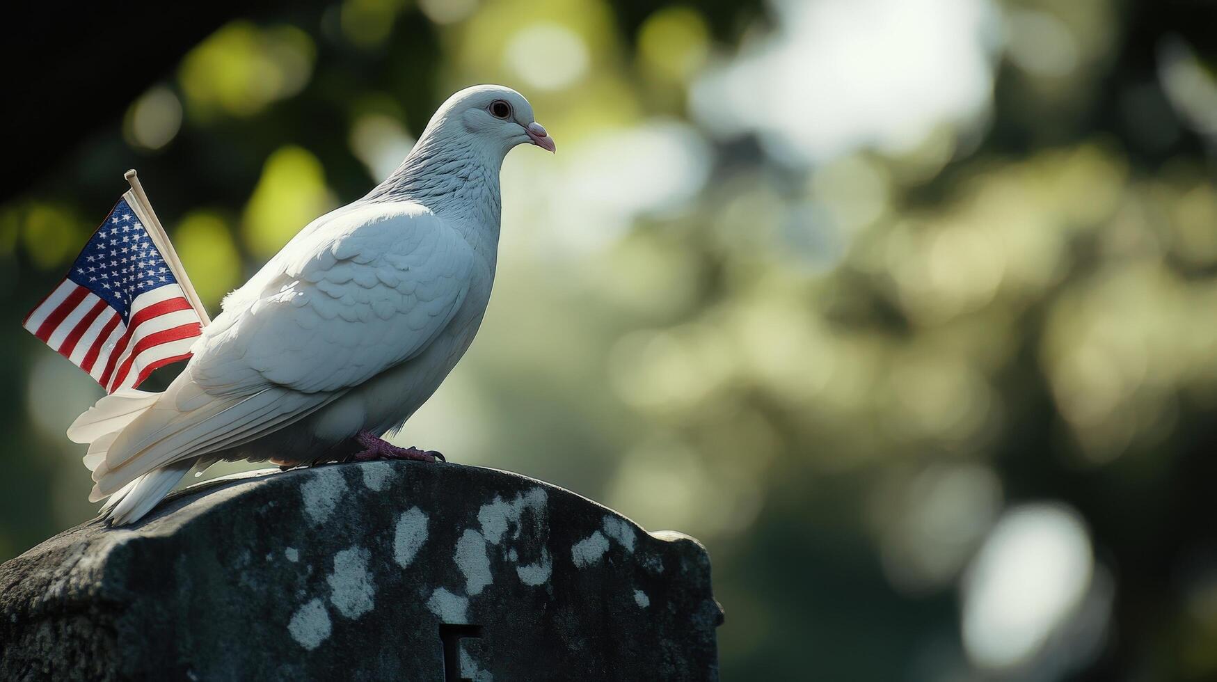 A white dove perched with a tiny flag on a tombstone photo