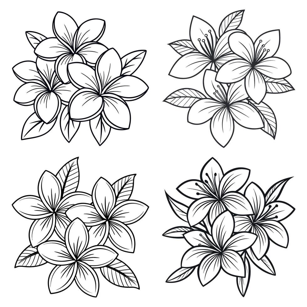 Exotic floral hand drawn outline illustration in vintage botanical style vector