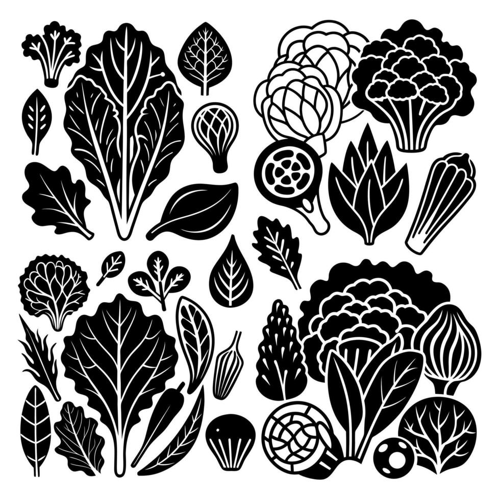 Decorative collection of leafy vegetable silhouettes with lettuce spinach broccoli and other greens in bold black style vector