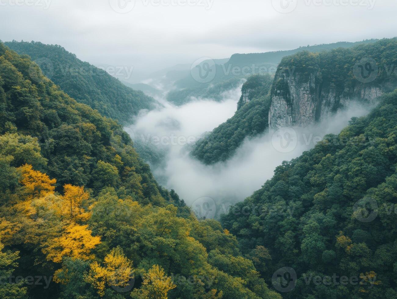 Fog-Shrouded Mountain Valley with Cliff Face and Autumnal Foliage photo