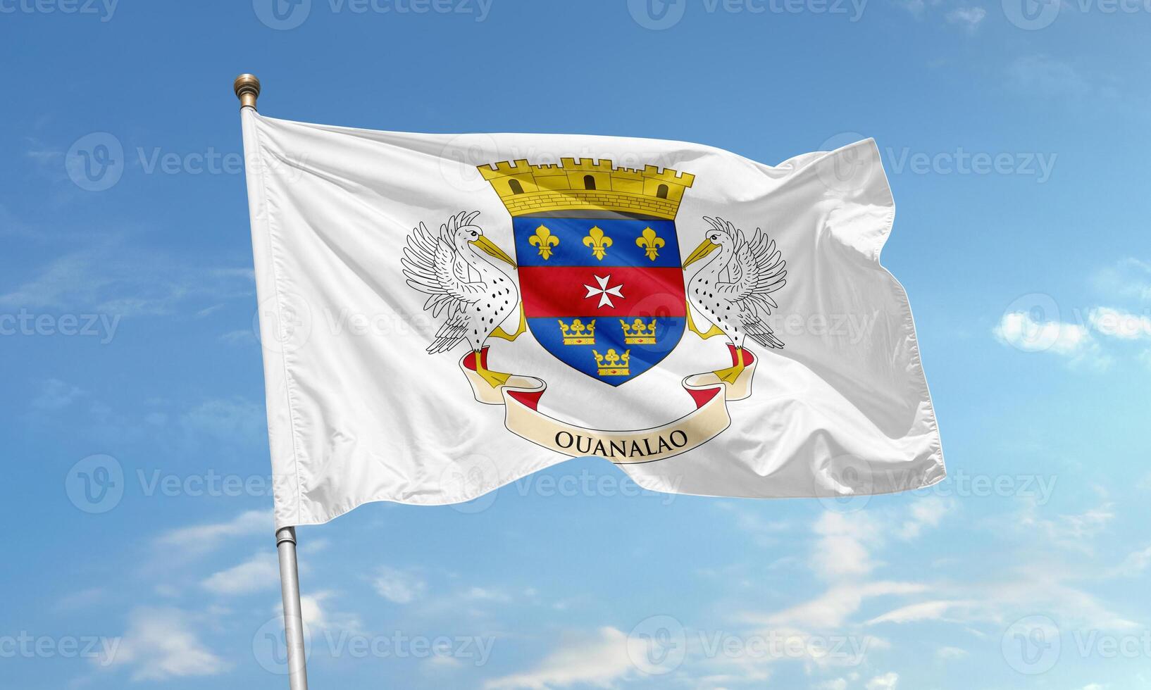 Official flag of Saint Barthelemy featuring the coat of arms with pelicans, fleur-de-lis, crowns, and the word Ouanalao photo