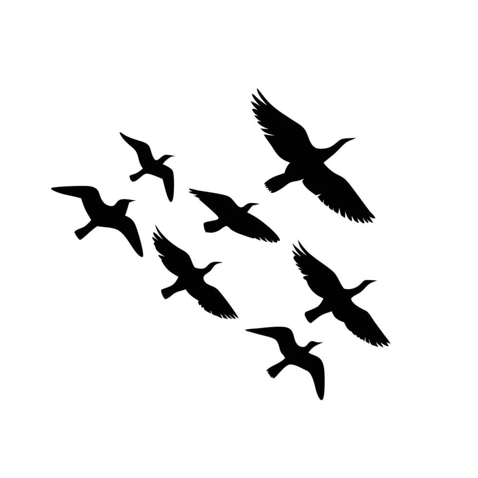 Silhouette of seven birds in flight white background vector