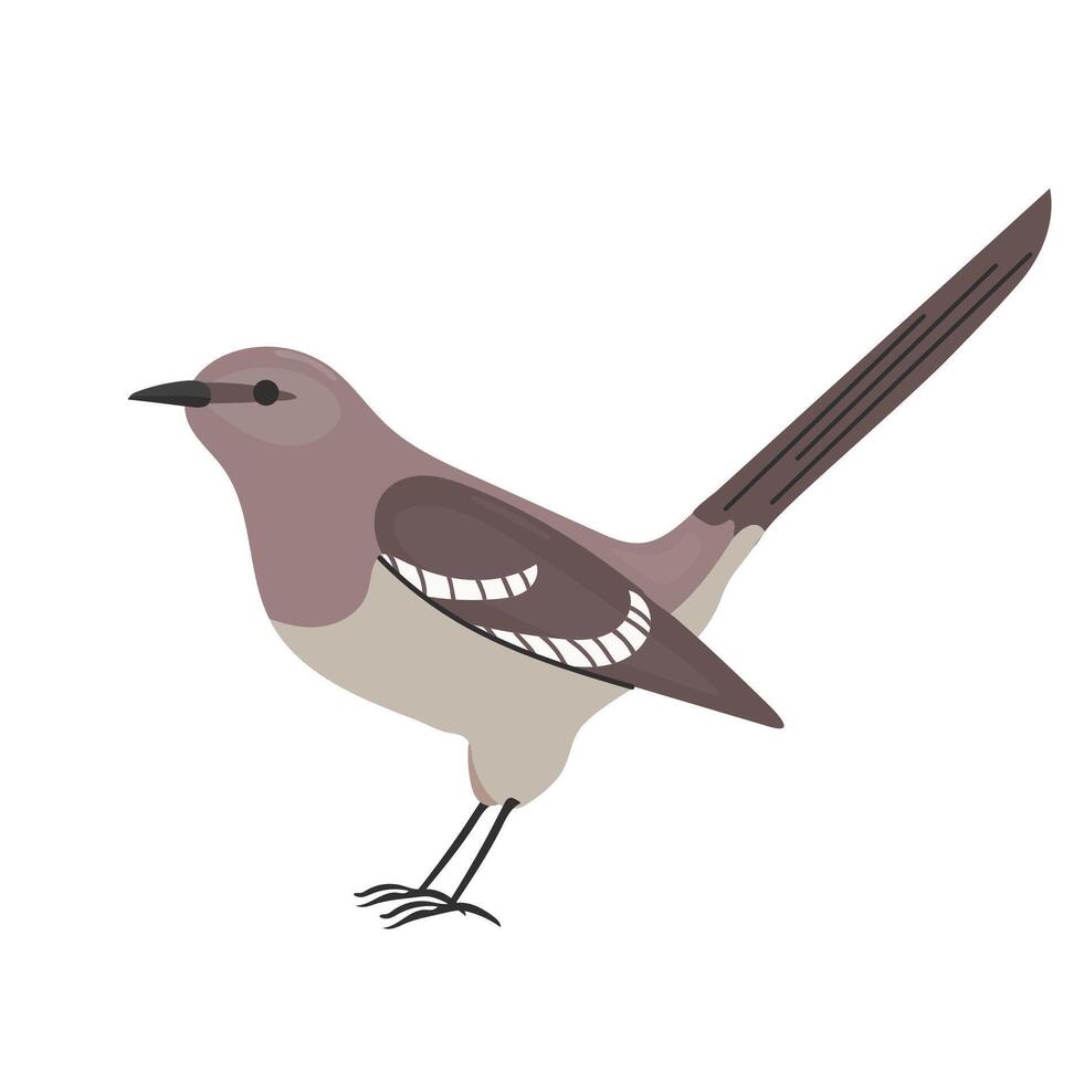 Northern mockingbird icon clipart avatar logotype isolated illustration vector
