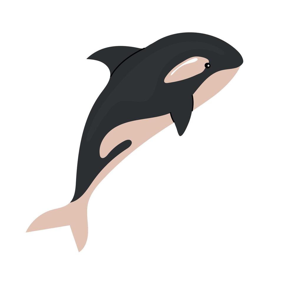 Killer whale icon clipart avatar logotype isolated illustration vector