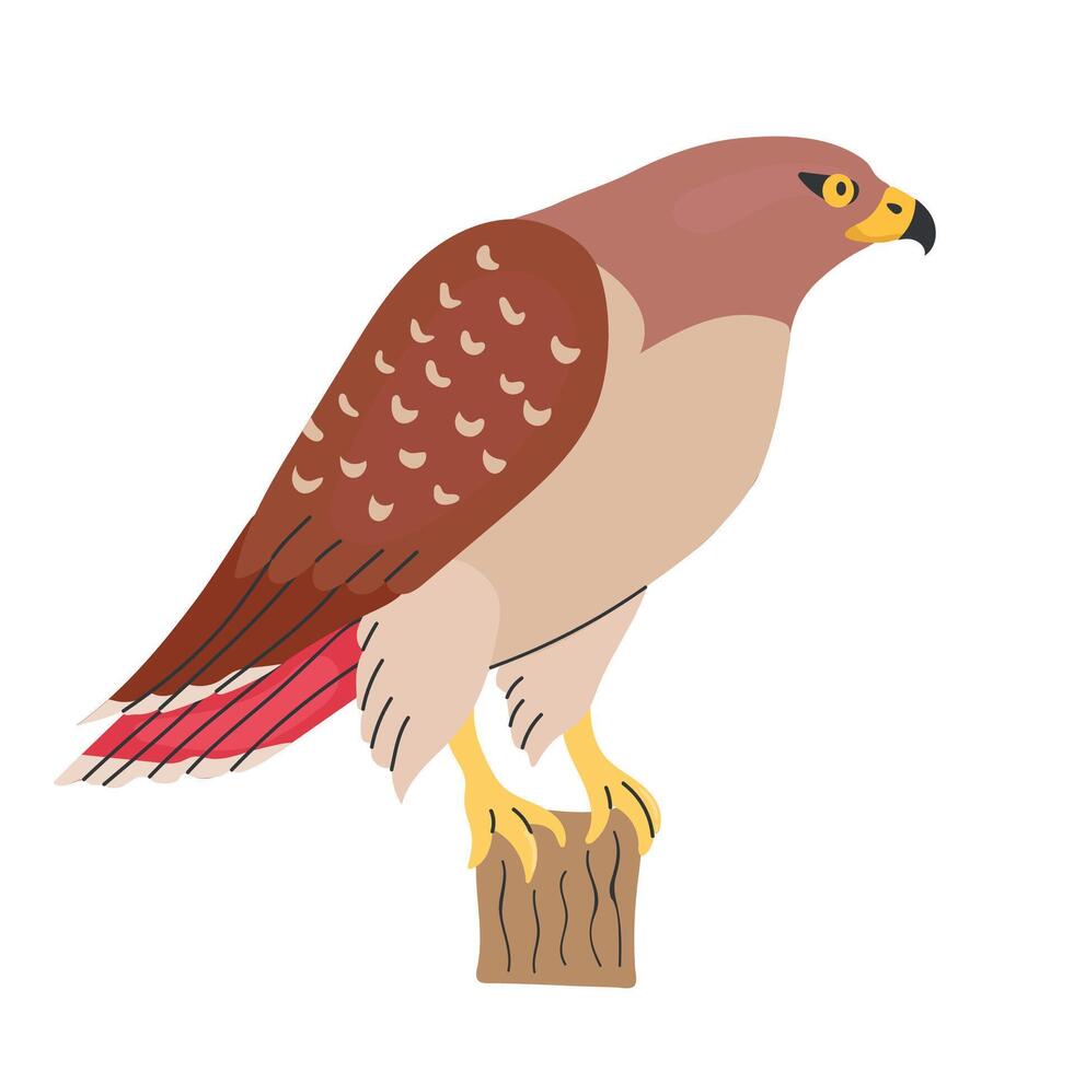 Red tailed hawk icon clipart avatar logotype isolated illustration vector