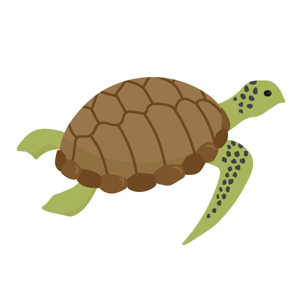 Green sea turtle icon clipart avatar logotype isolated illustration vector