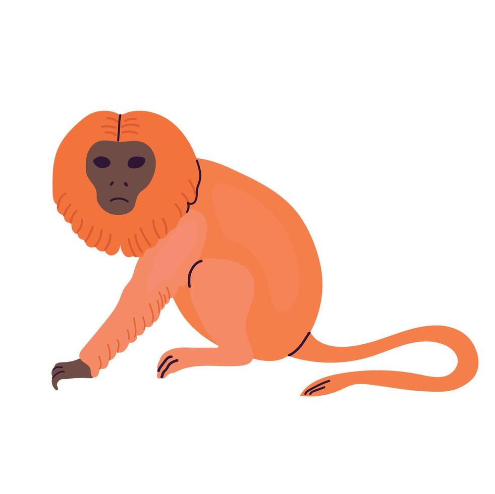 Golden lion tamarin icon clipart avatar logotype isolated illustration vector