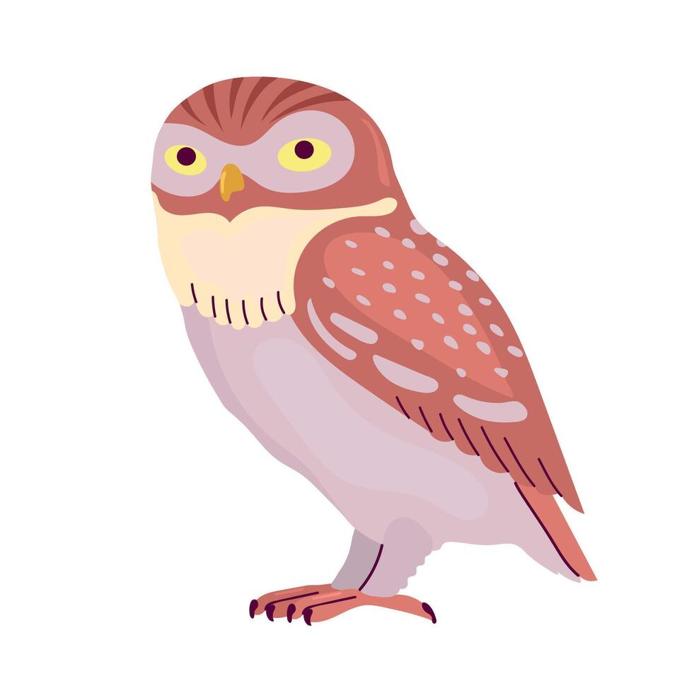Little owl icon clipart avatar logotype isolated illustration vector