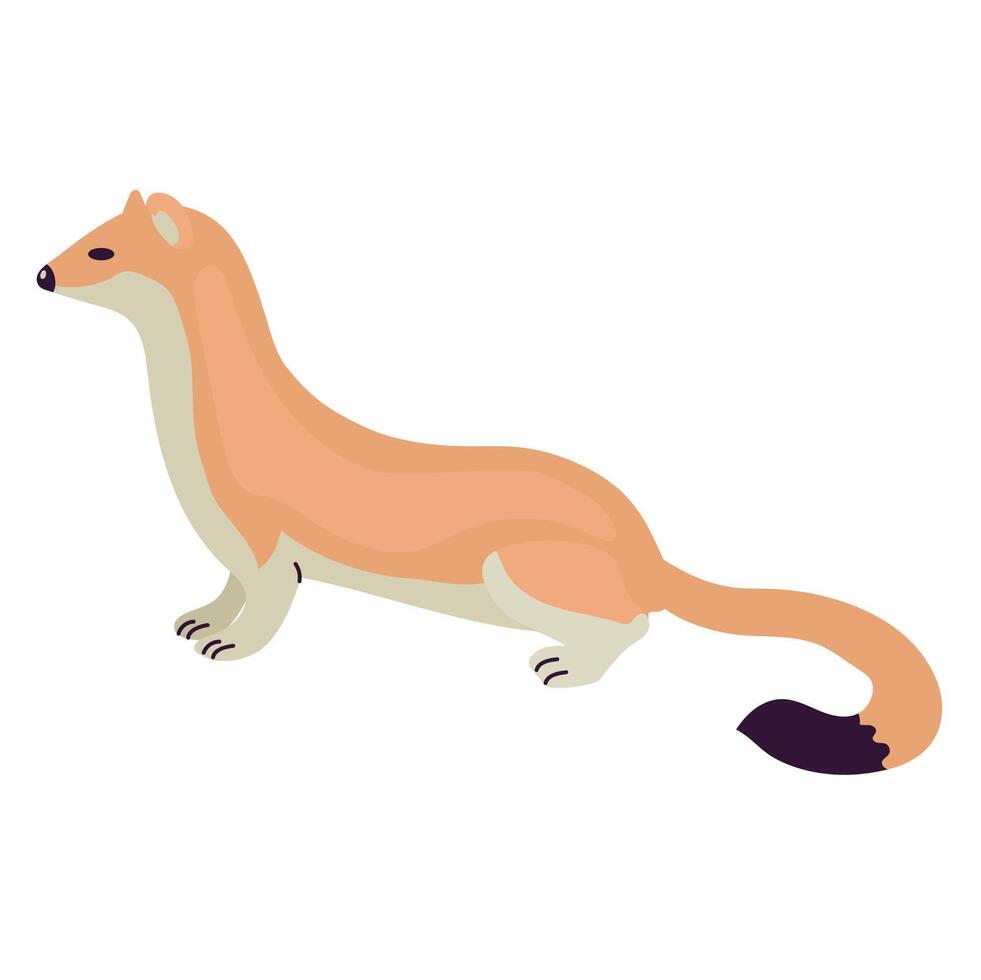 Ermine icon clipart avatar logotype isolated illustration vector