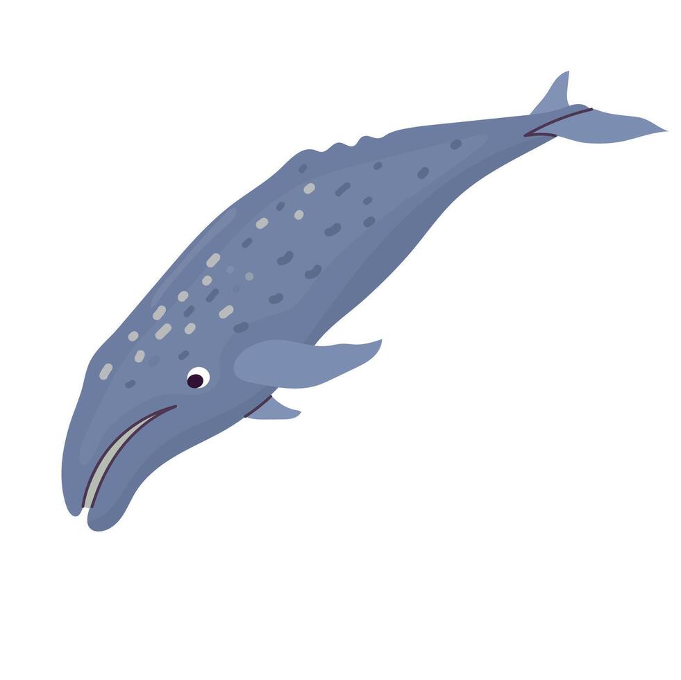Grey whale icon clipart avatar logotype isolated illustration vector