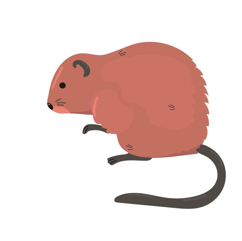 Muskrat icon clipart avatar logotype isolated illustration vector