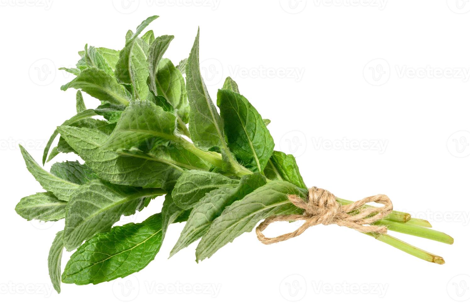 Mint sprigs tied with rope on isolated background. photo