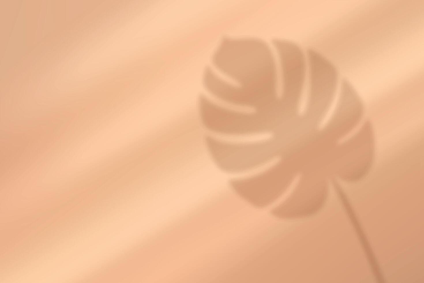 Monstera leaf shadow on beige background with soft light vector