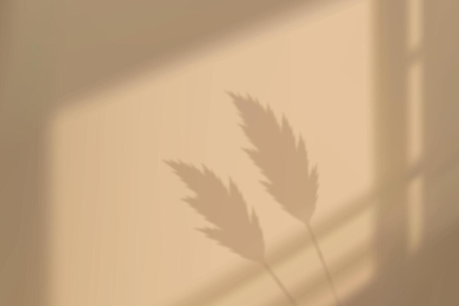 Pampas grass shadow on beige wall with window sunlight vector
