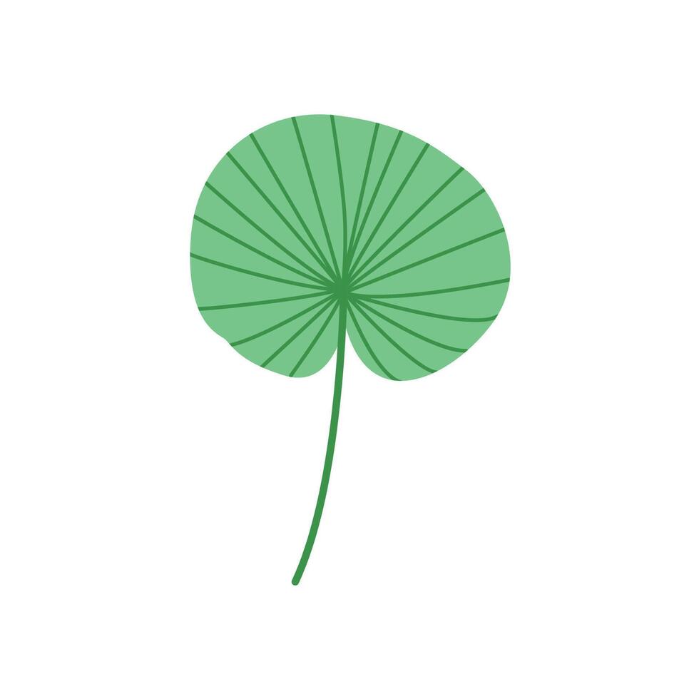 Lotus Style Tropical Leaf Green Botanical Illustration vector