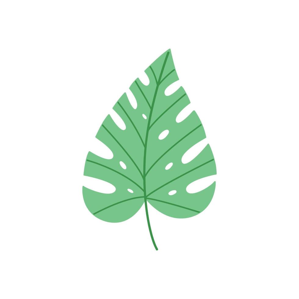Monstera Leaf Illustration Tropical Green Botanical Design vector