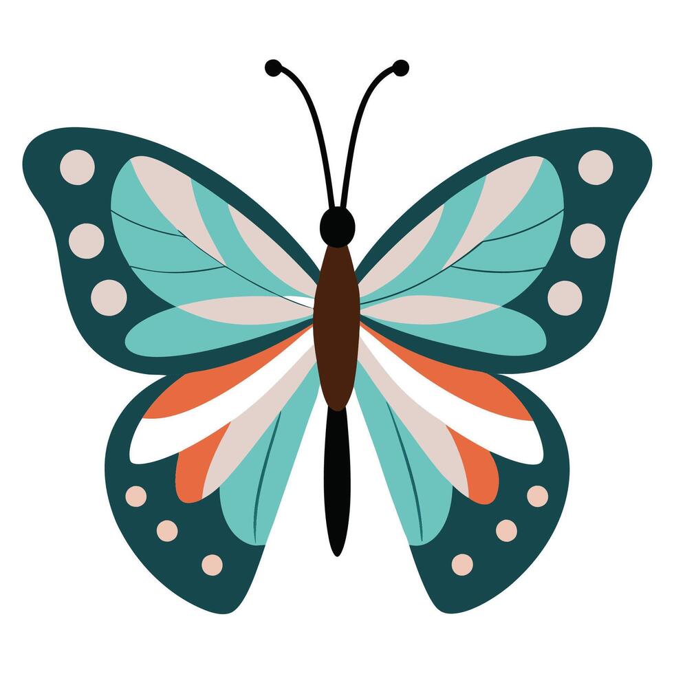 Graceful Butterfly on White Background vector