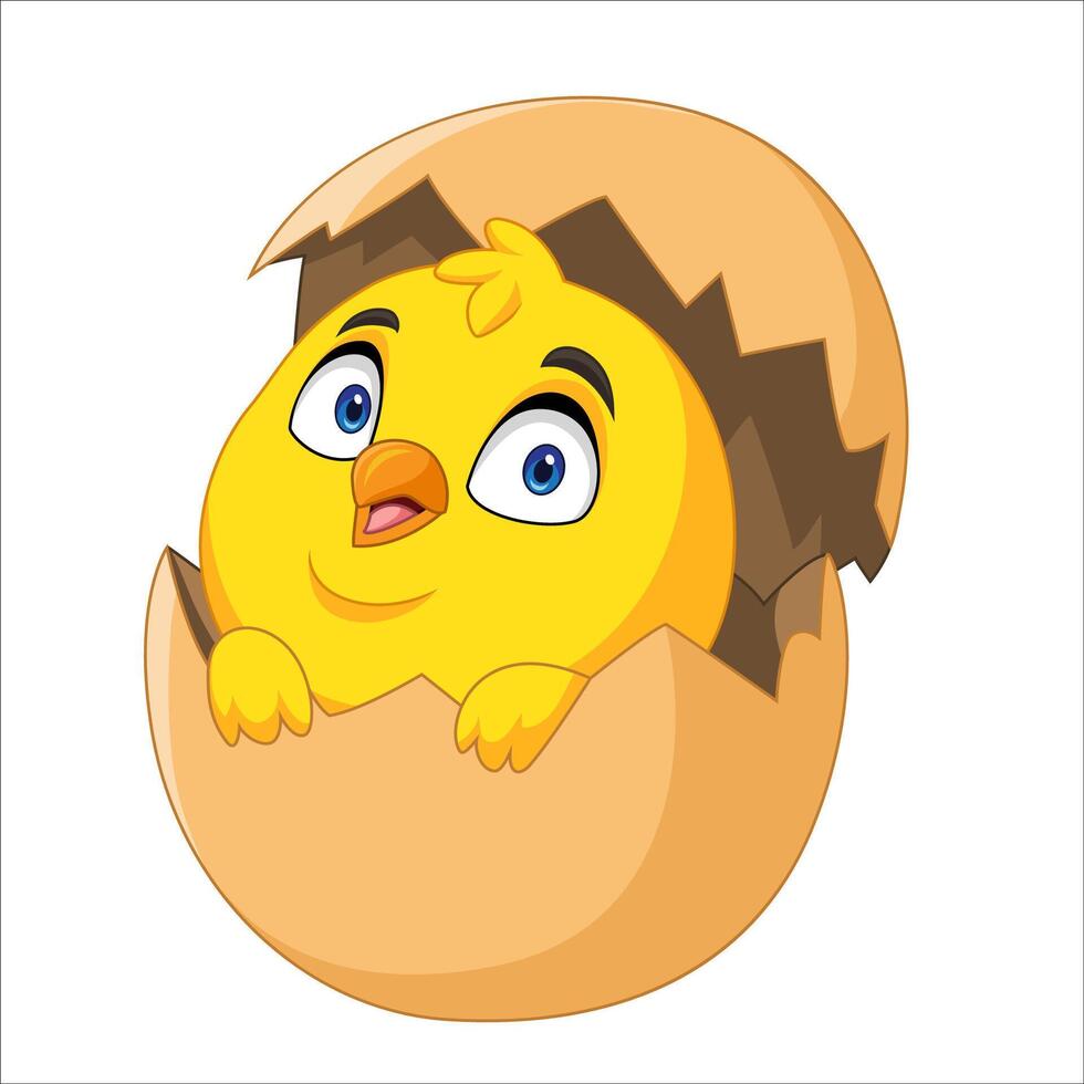 Cartoon chick born from egg vector
