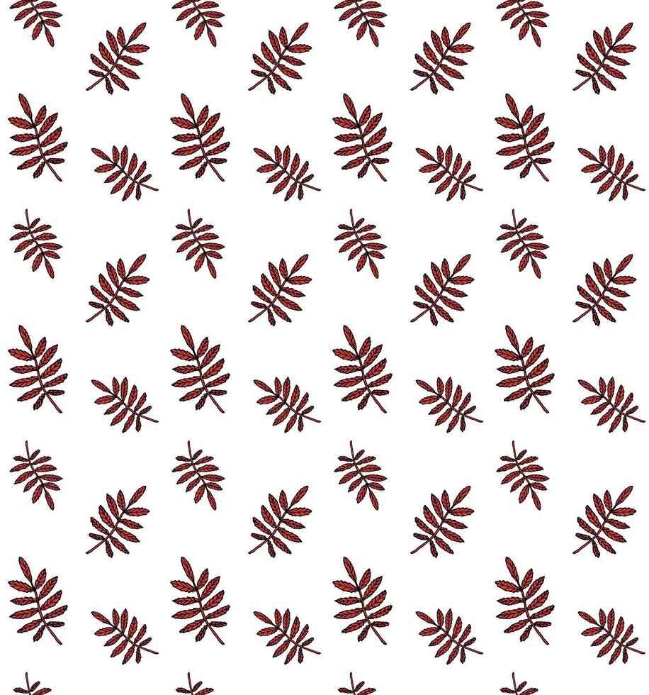 Seamless pattern of hand drawn doodle sketch rowan leaf isolated on white vector