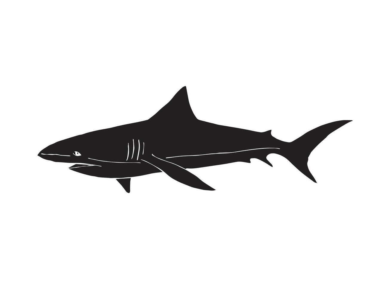 Hand drawn doodle sketch black shark isolated on white background vector