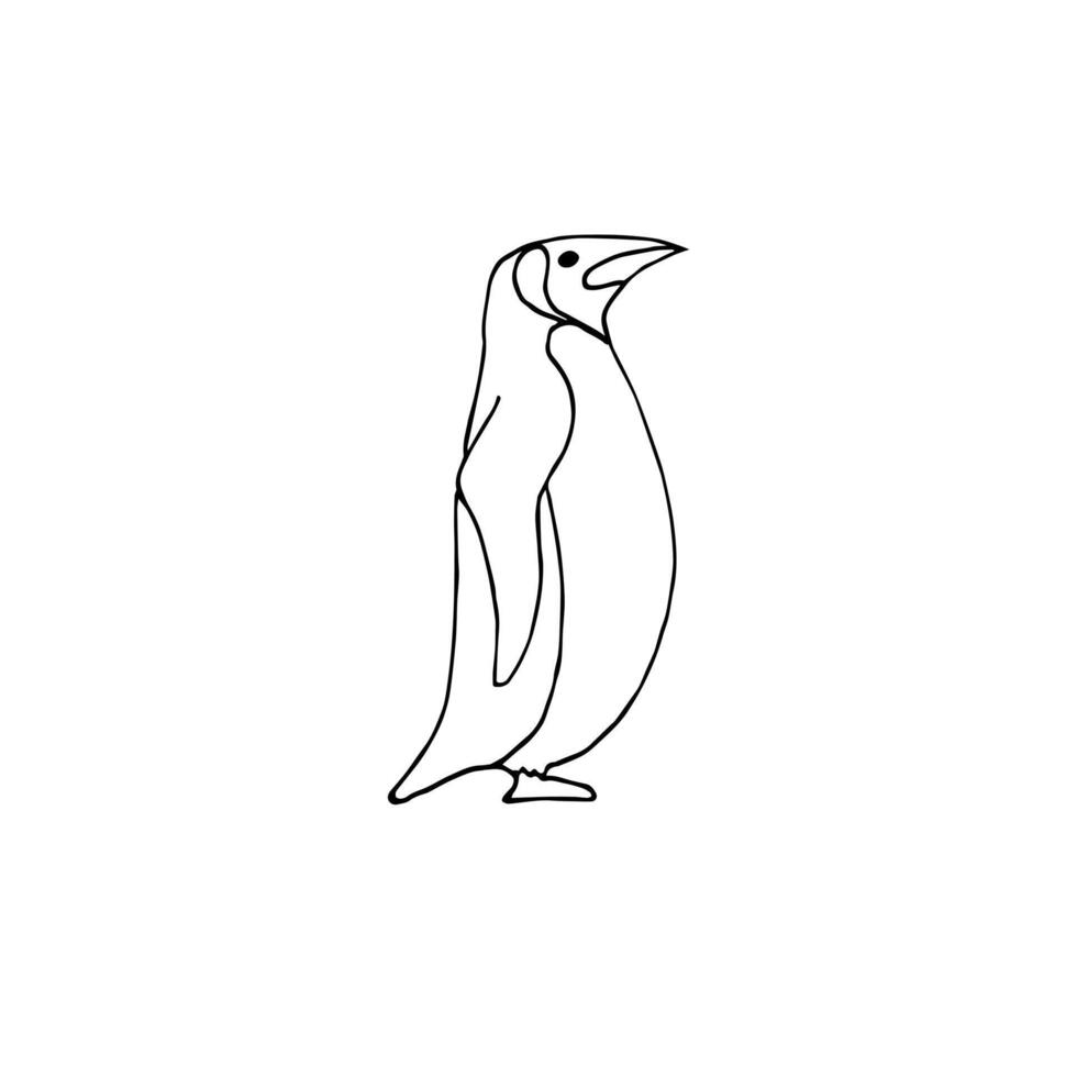Hand drawn doodle sketch penguin isolated vector