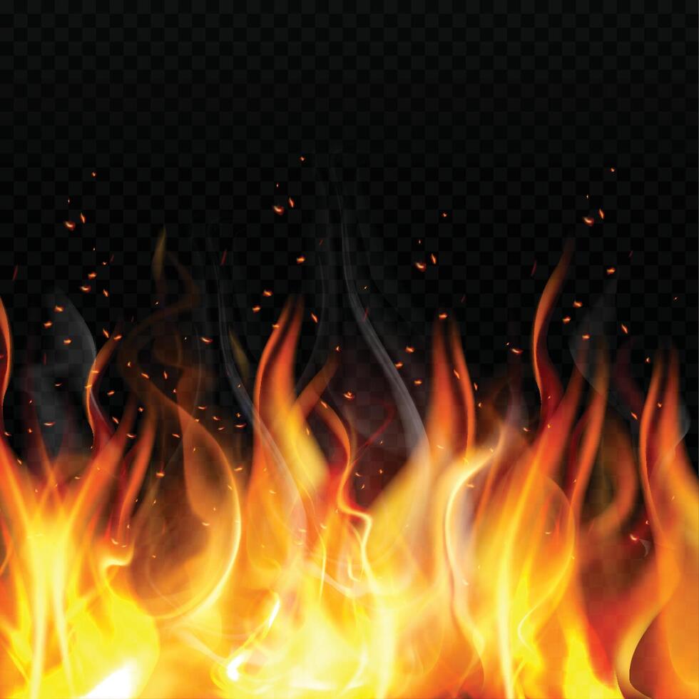 Fire on dark background. illustration vector